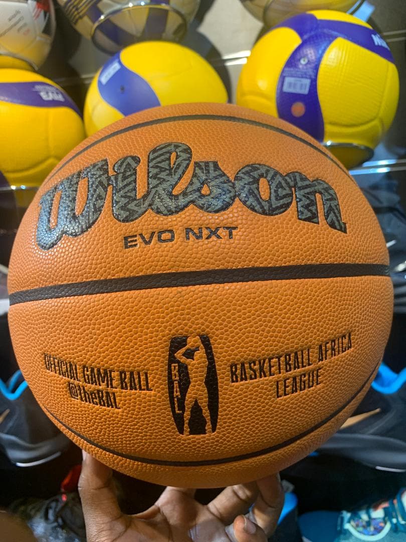 Professional Basketball