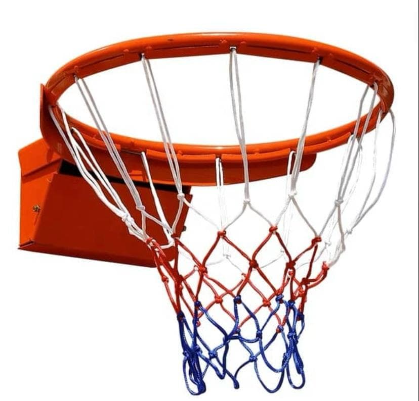 Basketball Ring with Net - Professional