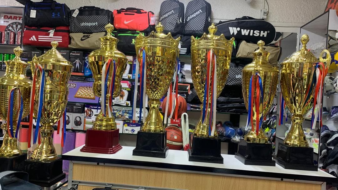 Bronze Trophy - Small